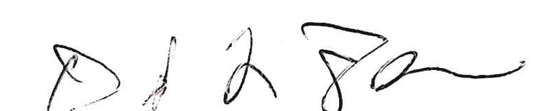 Handwritten signature of Dan Flanagan