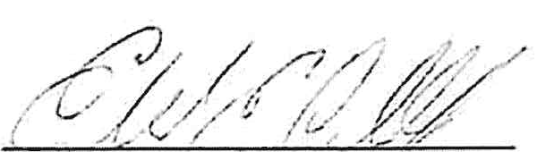 Handwritten signature of Edward E. Carroll Jr.