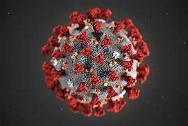 COVID-19 coronavirus structural illustration