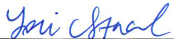 Signature of Clerk of Council