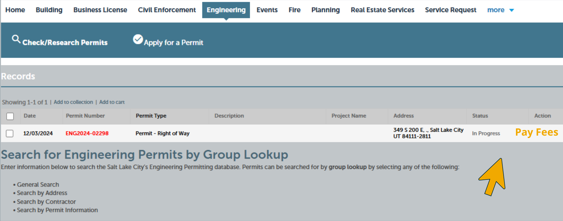 Screenshot of Permit records table displaying permit details with In Progress status and Pay Fees action button highlighted