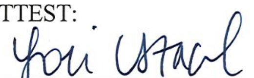 Signature of Clerk of Council