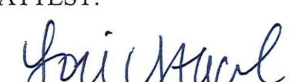 Clerk of Council Lori Stacel signature