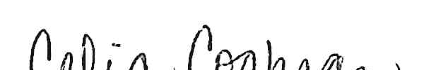 Notary Public signature