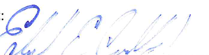 Signature of Edward E. Carrol Jr., Auditor