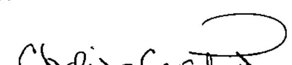 Signature of Chelise Curtis