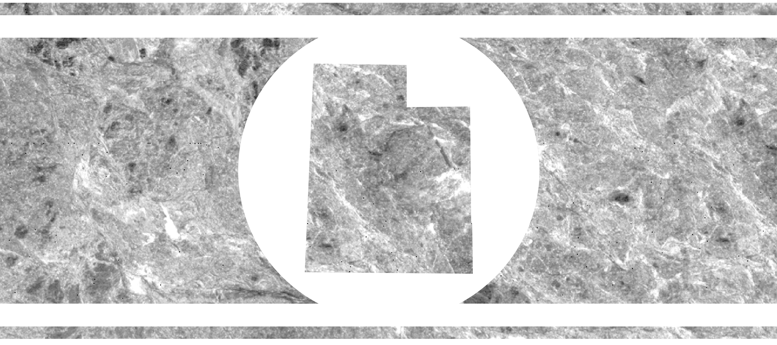 Textured graphic band featuring Utah state map silhouette