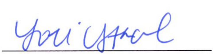 Signature of Clerk of Council