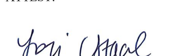 Handwritten Signature of Clerk of Council