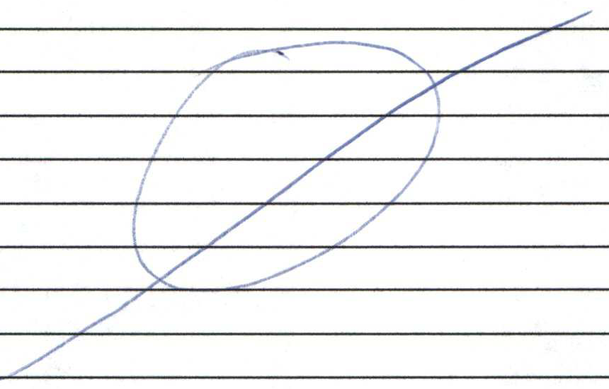 Handwritten null mark drawn across form