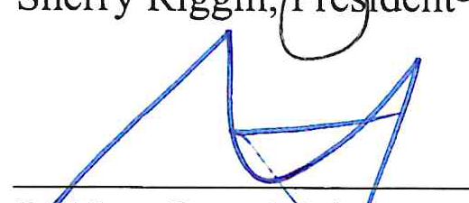 Signature of Stephen Brand, Vice President