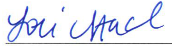 Signature of Lori Stacel, Clerk of Council