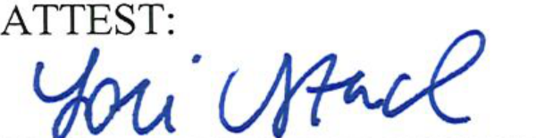 Clerk of Council Signature