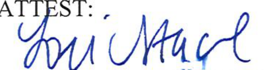 Signature of Clerk of Council
