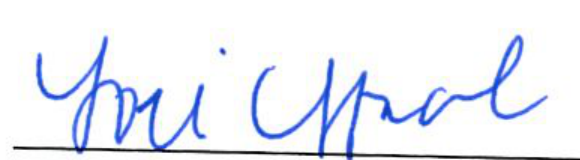 Clerk of Council signature