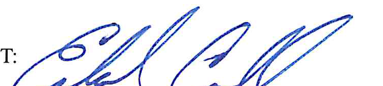 Signature of Ed Carroll, Delaware County Auditor