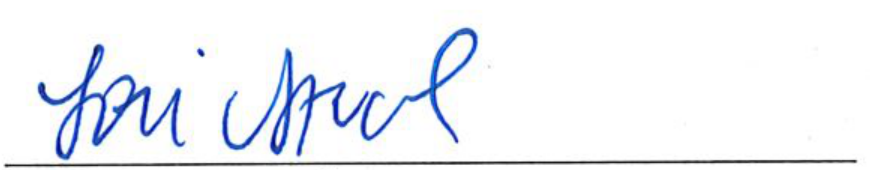 Signature of Clerk of Council