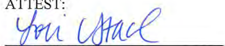 Signature of Clerk of Council
