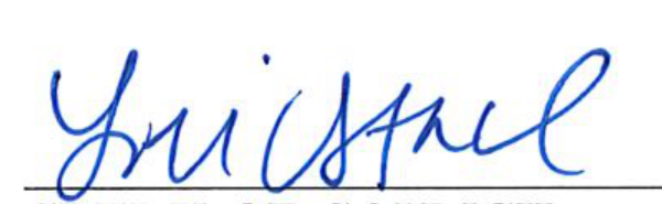 Signature of Clerk of Council
