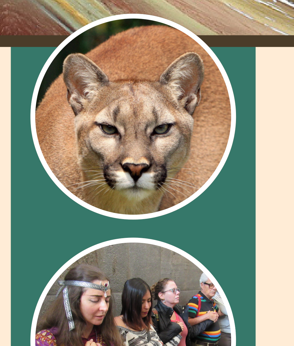Retrato de Puma