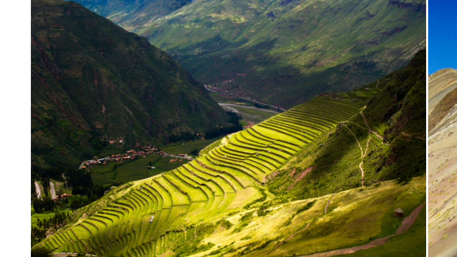 Terraced green hillside