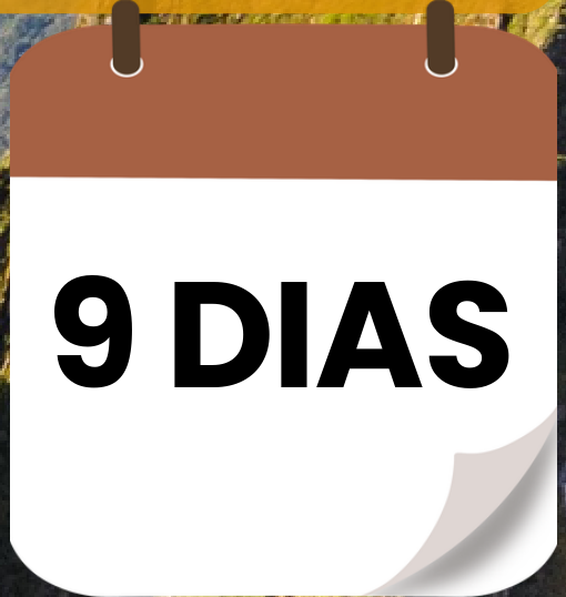 9 DIAS