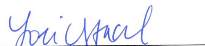 Signature of Clerk of Council