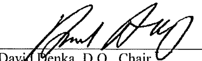 Handwritten signature of David Denka