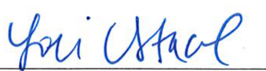 Signature of Clerk of Council