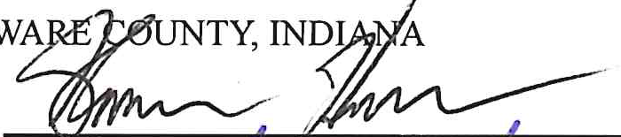 Handwritten signature of Shannon Henry