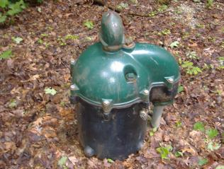 #8 Well casing head in a wooded outdoor setting