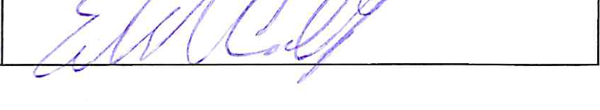 Signature of Fiscal Officer