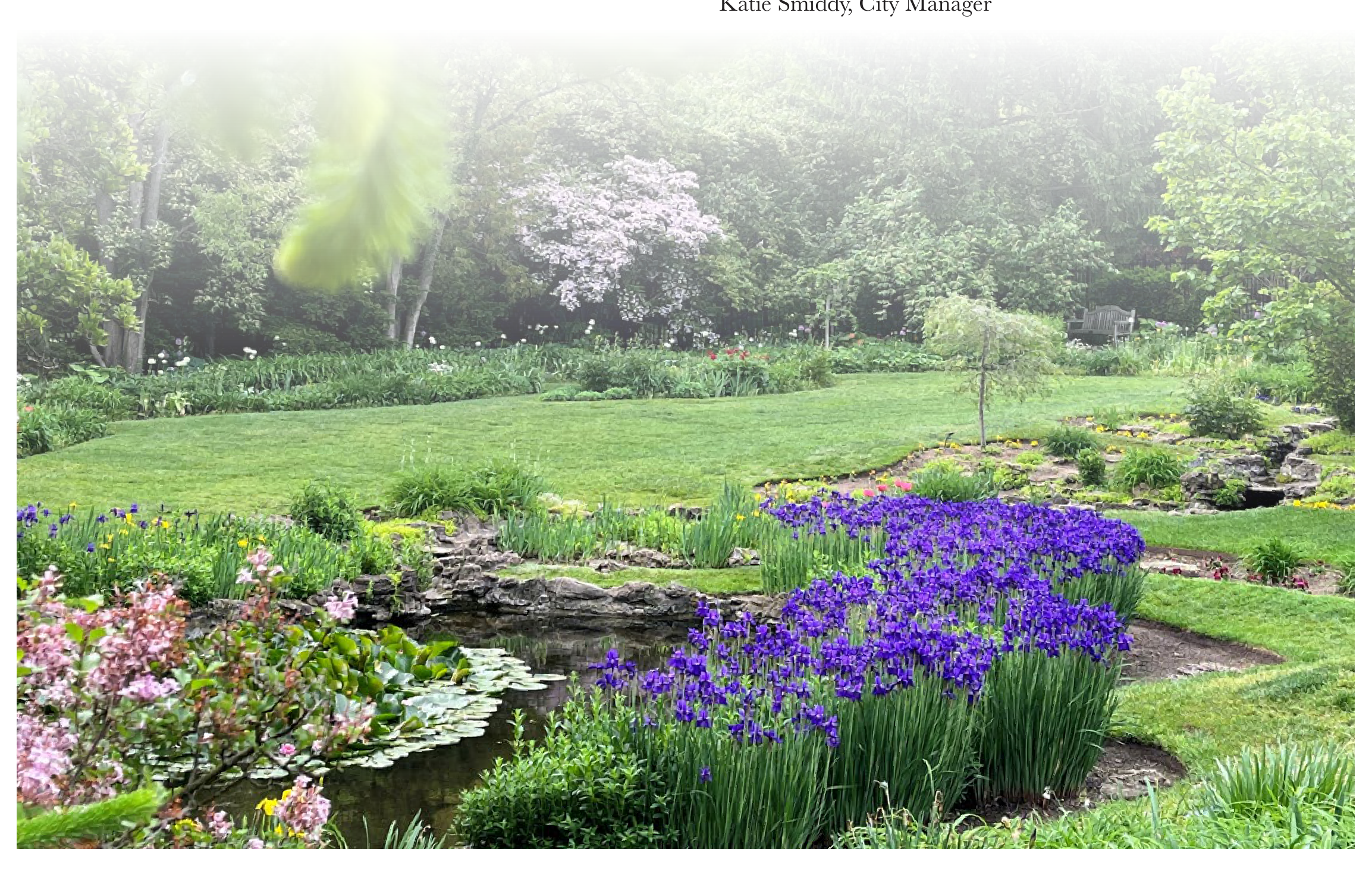 Landscaped garden park in Oakwood with purple irises, water lily pond, lush lawn and blooming trees