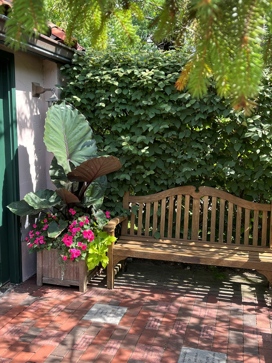 Sun-dappled courtyard with a wooden slatted garden bench, a large planter containing an elephant ear plant and vibrant pink flowers, lush green shrubs, and engraved commemorative brick pavers underfoot.