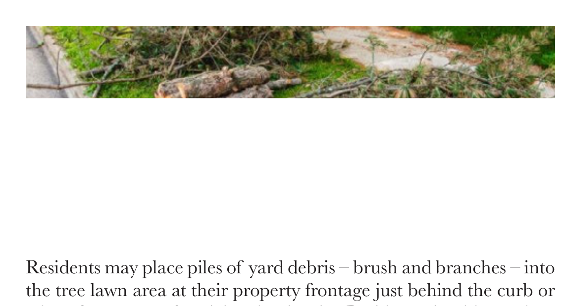 Yard debris piles of branches and logs placed along the curb