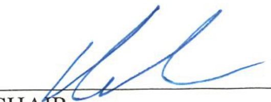 Signature of the Chair