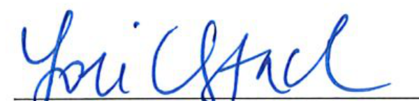 Signature of Clerk of Council
