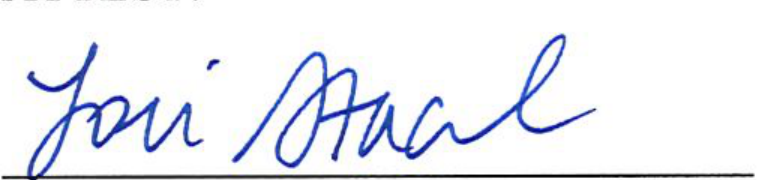 Signature of Clerk of Council