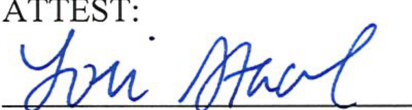 Signature of Clerk of Council