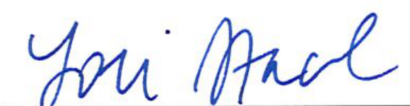 Signature of Clerk of Council