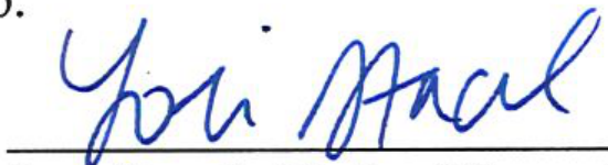 Signature of Lori Stacel, Clerk of Council