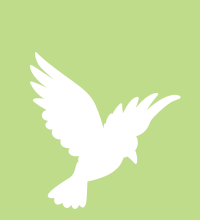 A white bird in flight.