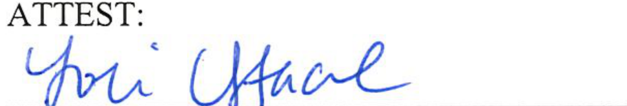 Signature of Clerk of Council