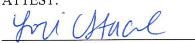 Clerk of Council Lori Stacel Signature