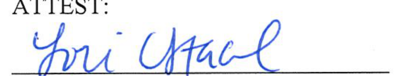 Signature of Clerk of Council Lori Stacel