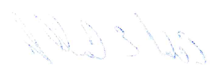 Handwritten signature or initials in blue ink