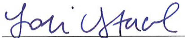 Signature of Lori Staehle, Clerk of Council
