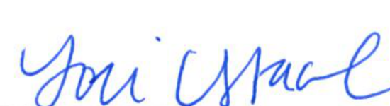 Signature of Clerk of Council