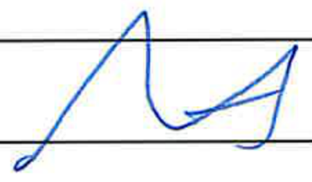 Signature of Board Member 3