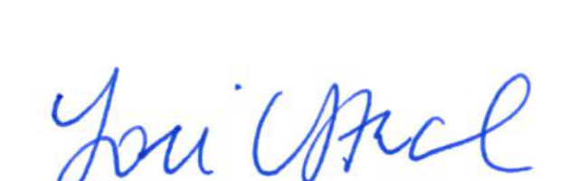 Signature of Clerk of Council